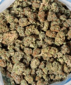 Cherry Mints (AA+/Popcorn)