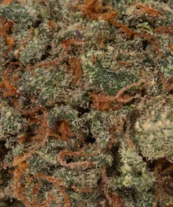 Cherry Mints (AA+/Popcorn)
