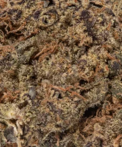 Dragons Breath (AAA+)