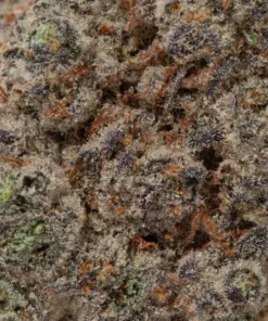 Black Tuna (AAAAA/Craft)