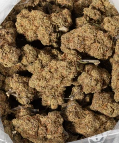 Alien OG (AAA+)