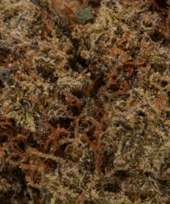 Alien OG (AAA+)