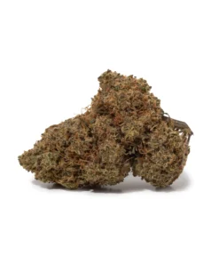 Alien OG (AAA+)