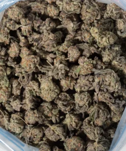 Raspberry Kush (AAA)