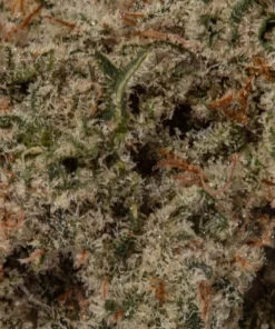 Raspberry Kush (AAA)