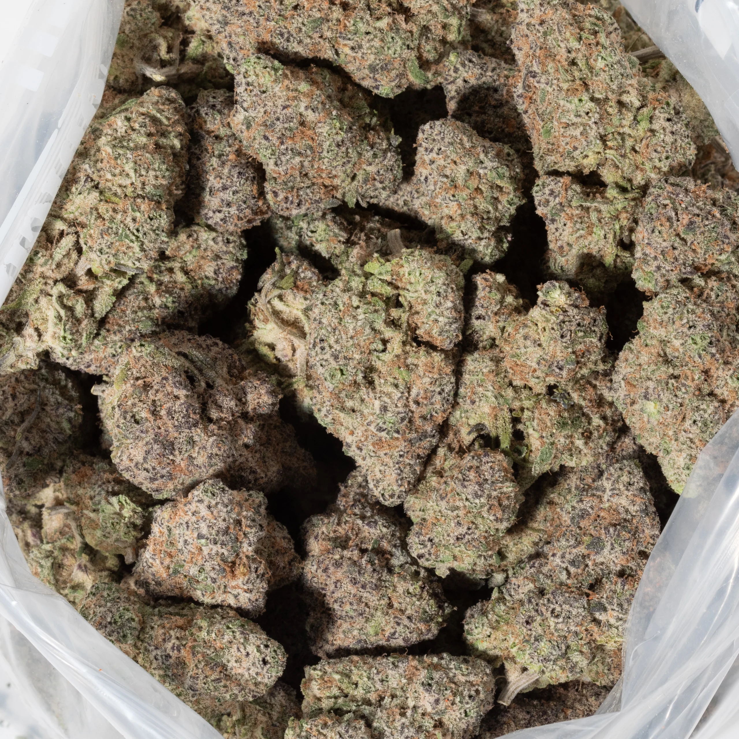 Pink Rozay (AAAAA/Craft)