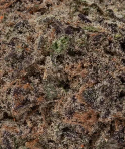 Pink Rozay (AAAAA/Craft)