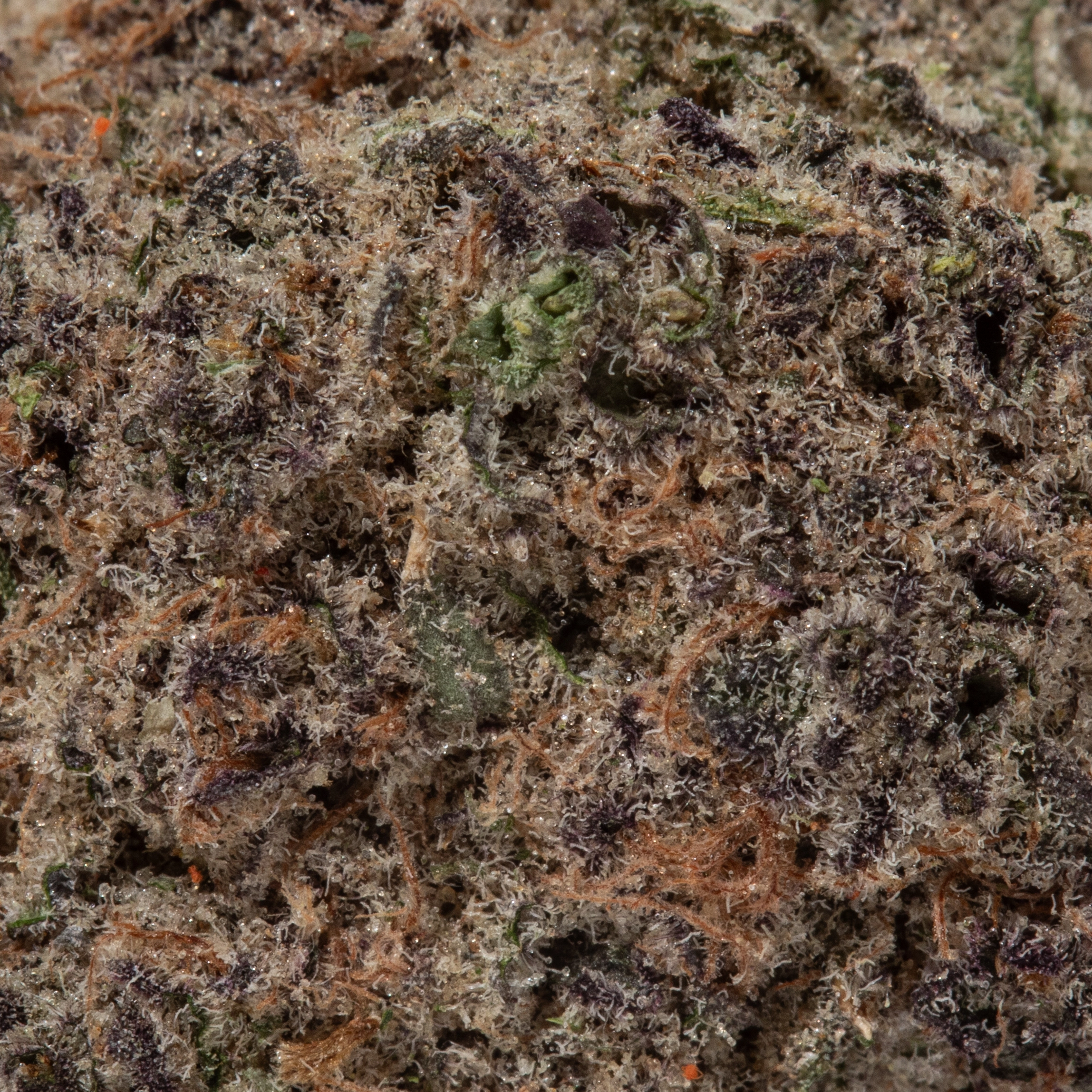 Pink Rozay (AAAAA/Craft)