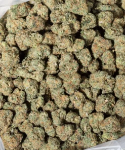 Frosted Fruit Cake (AAAA/Popcorn)