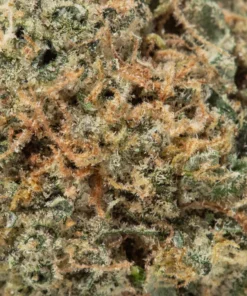 Frosted Fruit Cake (AAAA/Popcorn)