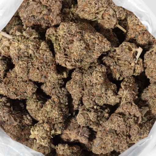 OG Octane (AAAA)