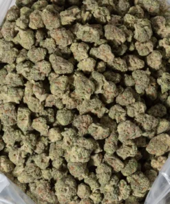 Mac 1 (AAAA+/Popcorn)