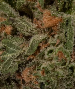 Hell Fire OG (AA/Popcorn)