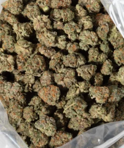 Strawberry Cake (AAAA/Popcorn)