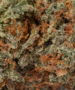 Strawberry Cake (AAAA/Popcorn)