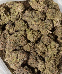 9LB Hammer (AAAA)
