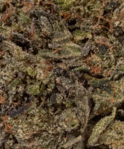 9LB Hammer (AAAA)