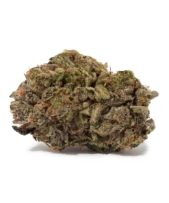 9LB Hammer (AAAA)
