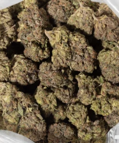 Pink Gas Mask (AAAA)