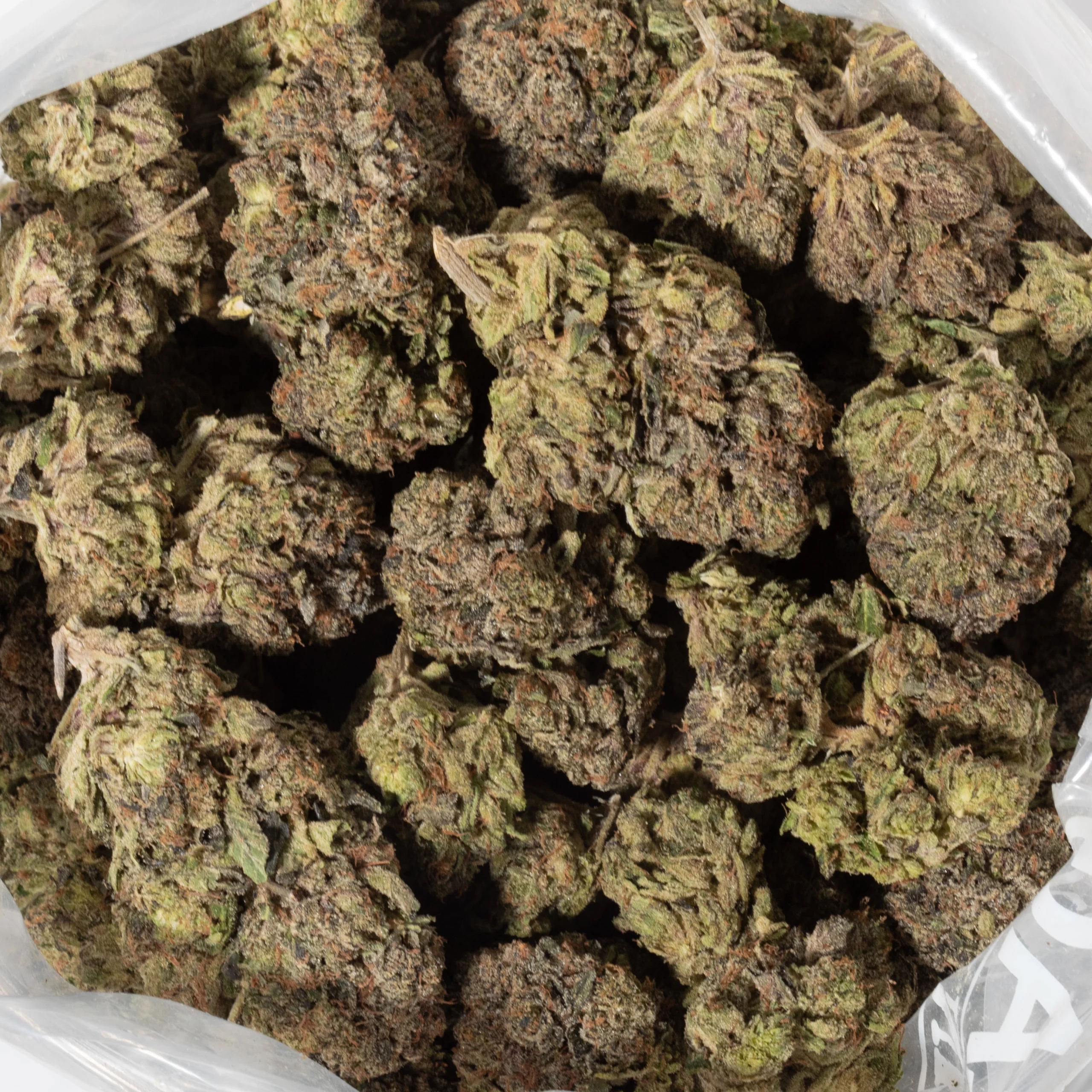 Pink Gas Mask (AAAA)