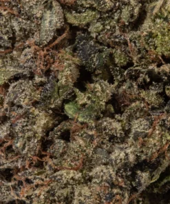 Pink Gas Mask (AAAA)