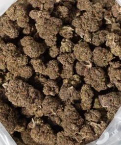 AK-47 (AAAA)