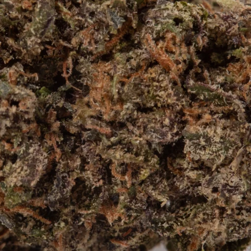 AK-47 (AAAA)
