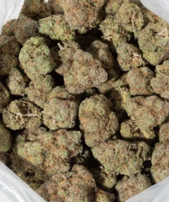 Neon Sunshine (AAAA+)