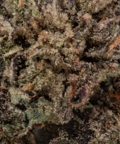 Girl Scout Cookies (AAAA/Popcorn)