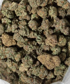 God Bud (AAAA+/Popcorn)