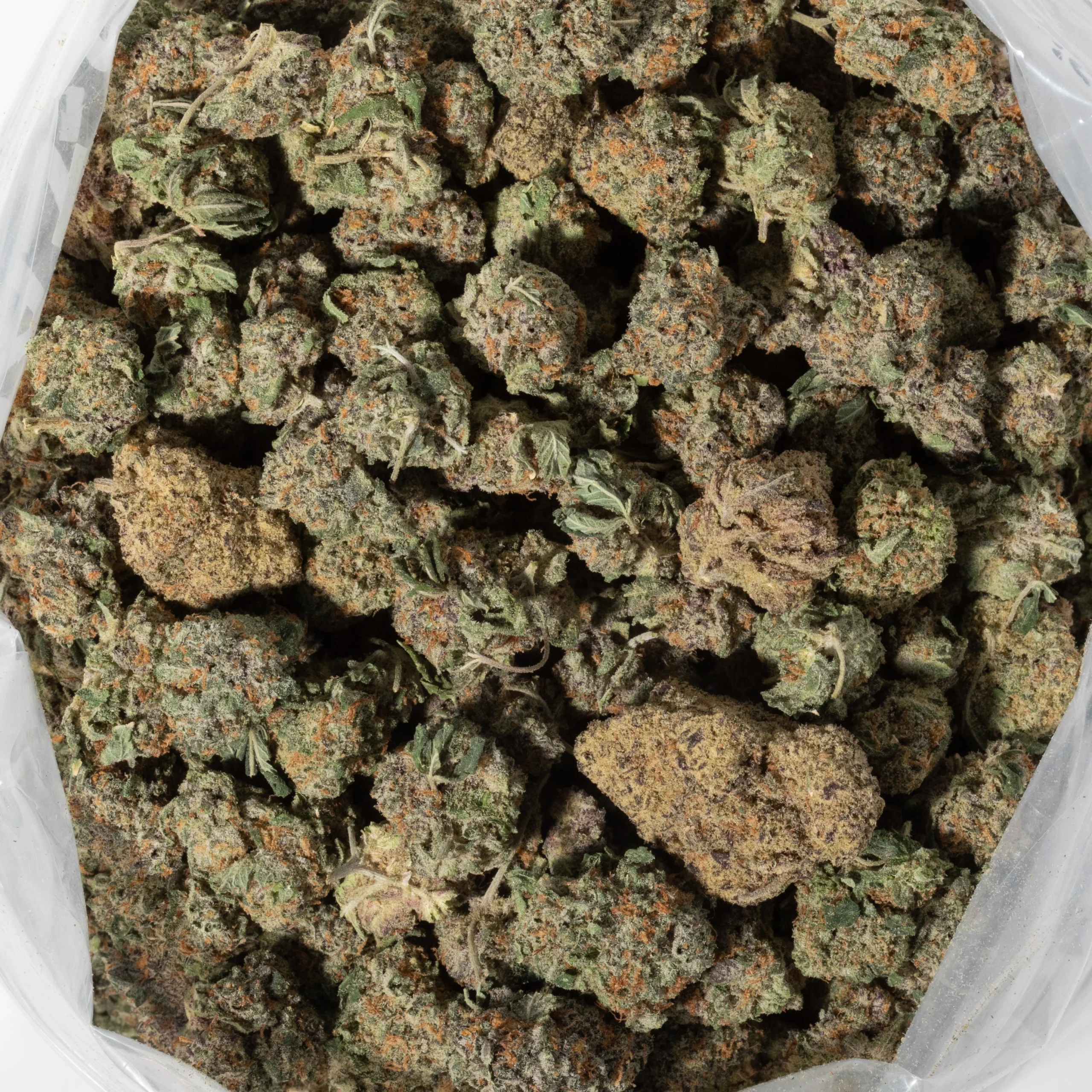God Bud (AAAA+/Popcorn)