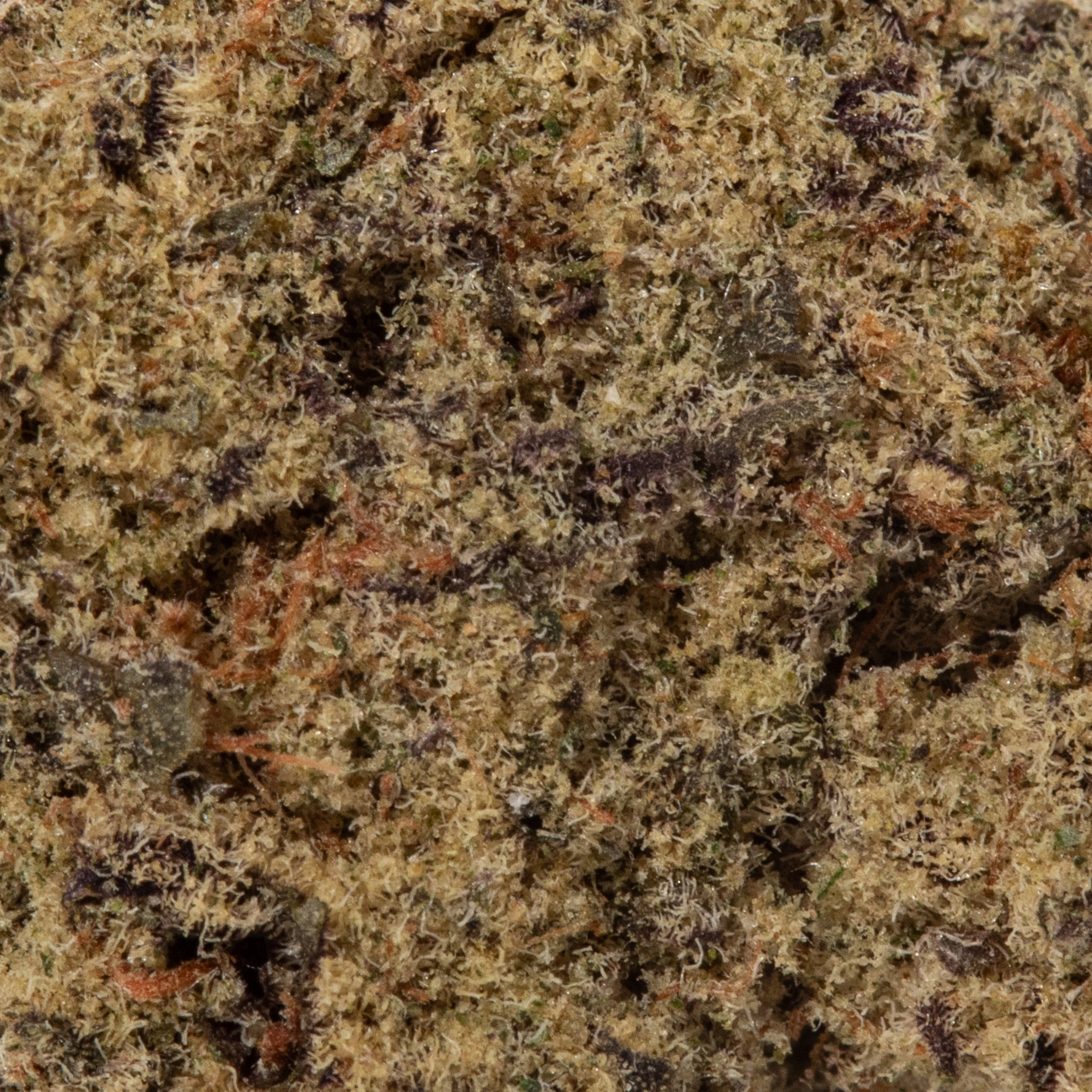 God Bud (AAAA+/Popcorn)