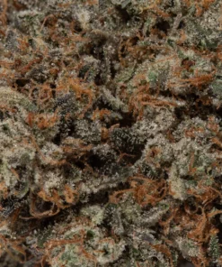 Tom Ford Pink Kush (AAAAA/Craft)