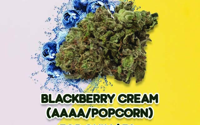 Blackberry Cream Popcorn Mobile