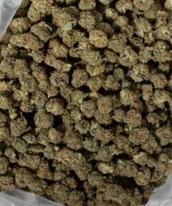 Apple Mintz (AA/Popcorn)