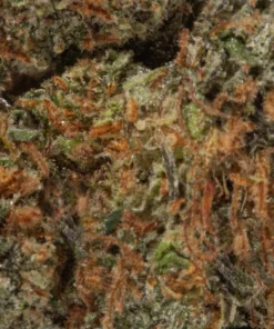 Apple Mintz (AA/Popcorn)