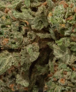 Pineapple Haze (AA+)