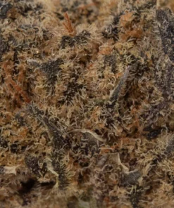 Black Cherry Cheesecake (AA)