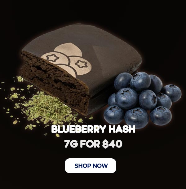 Blueberry Hash - 7G for $40