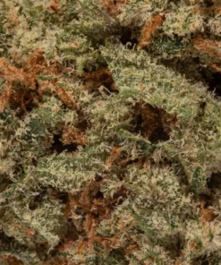 Pineapple Express (AAA+)