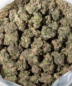 Strawberry Haze (AAA)