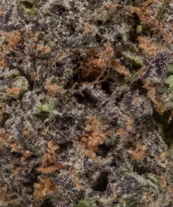 Supreme Diesel (AAA+)