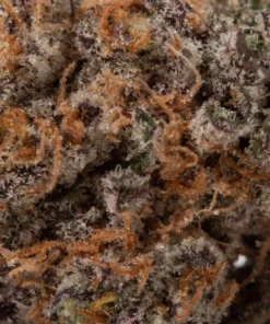 Violator Kush (AAA+)