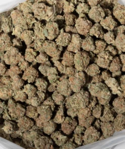 Purple Candy (AAA/Popcorn)