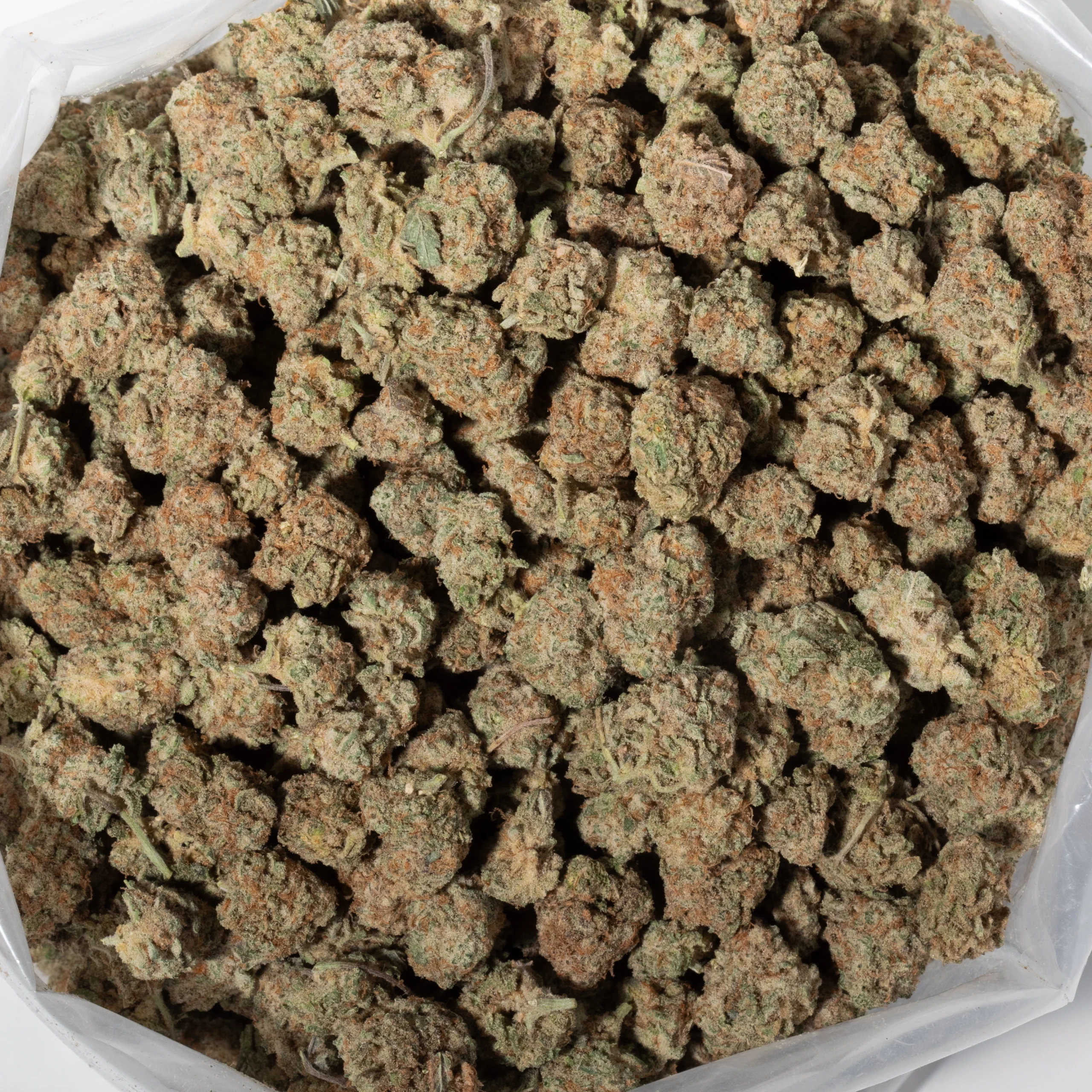 Purple Candy (AAA/Popcorn)