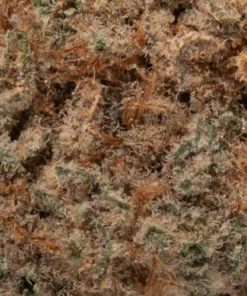 Purple Candy (AAA/Popcorn)