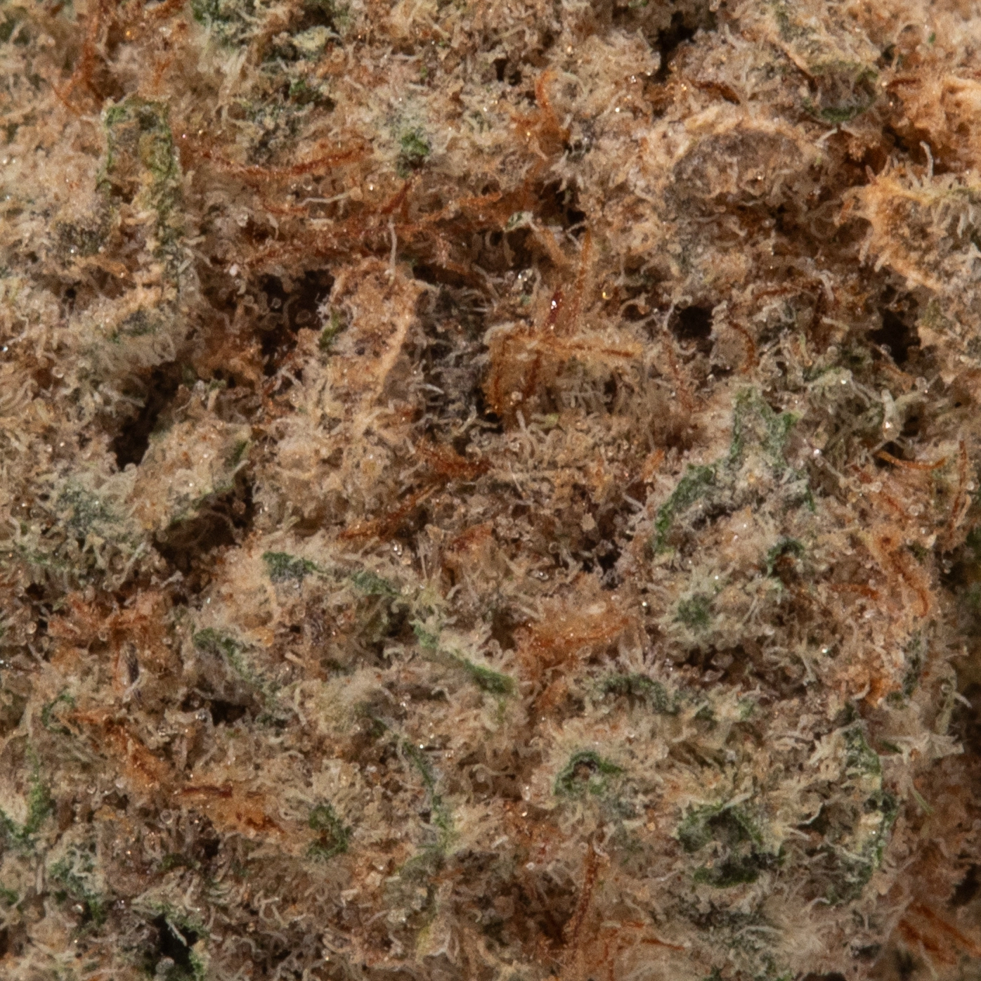 Purple Candy (AAA/Popcorn)