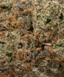 Donkey Butter (AAA+)