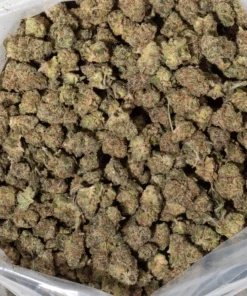 Sour Apple (AA/Popcorn)