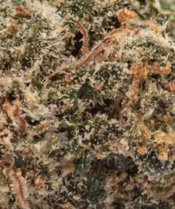 Sour Apple (AA/Popcorn)